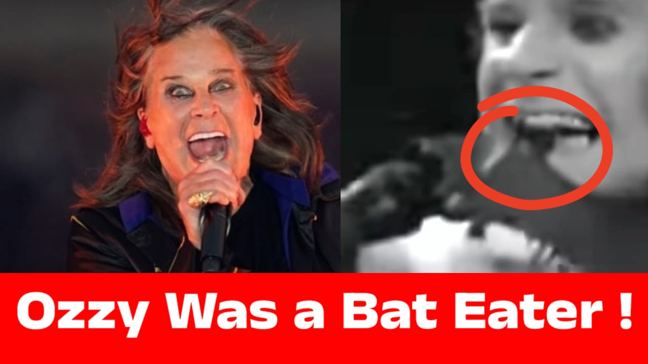 WhatsApp Image 2025-07-23 at 15.14.41_57ffee95